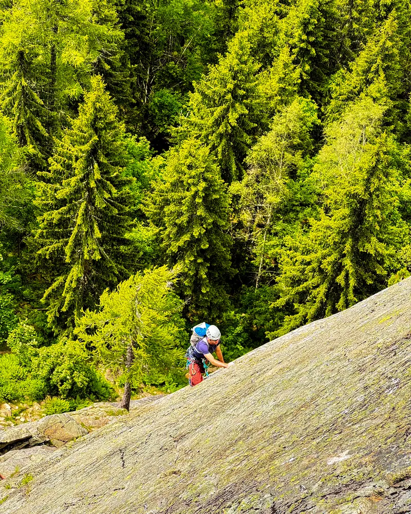 A climber far below on a mossy granite slab, among bright green larches and firs.