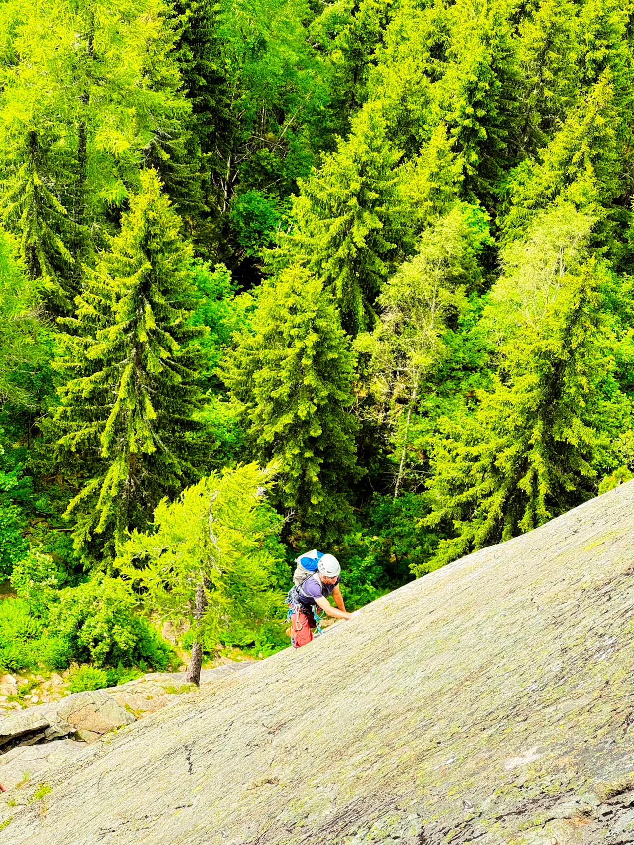 A climber far below on a mossy granite slab, among bright green larches and firs.