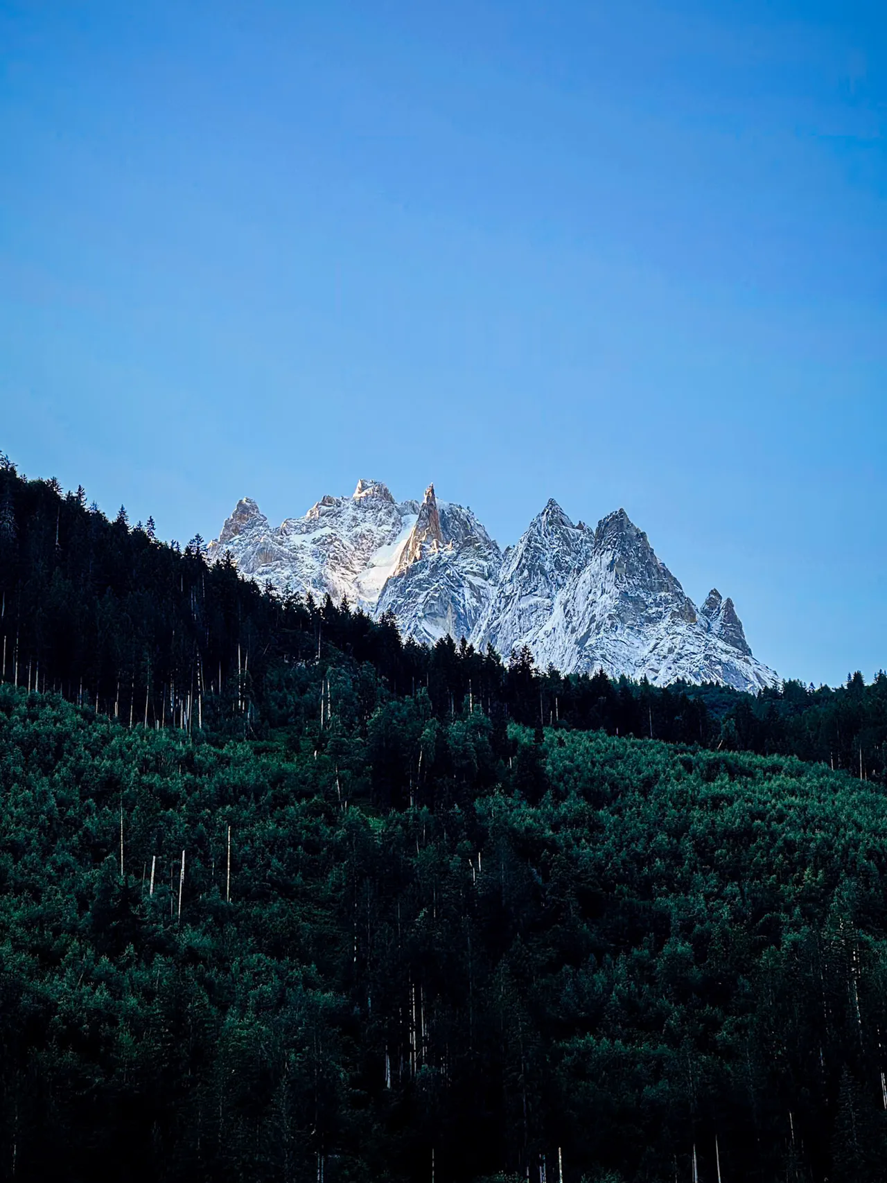 A cluster of snowy granite spires above a dark forested slope, under a clear blue sky.