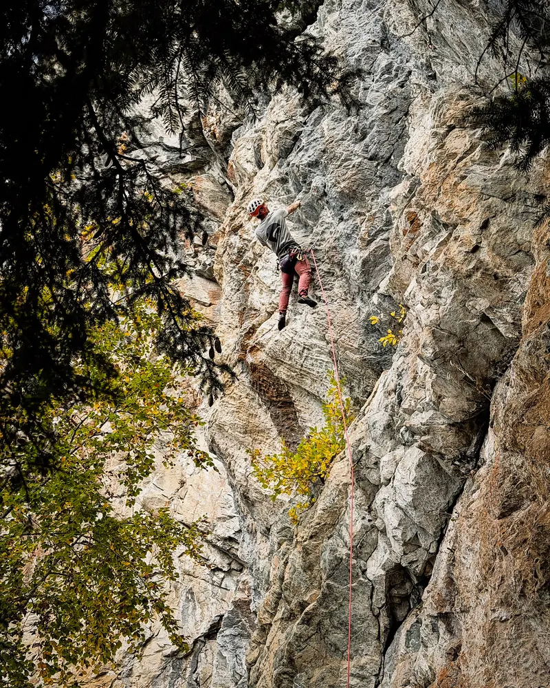 A climber on a pale rock wall, framed by trees and autumn leaves.