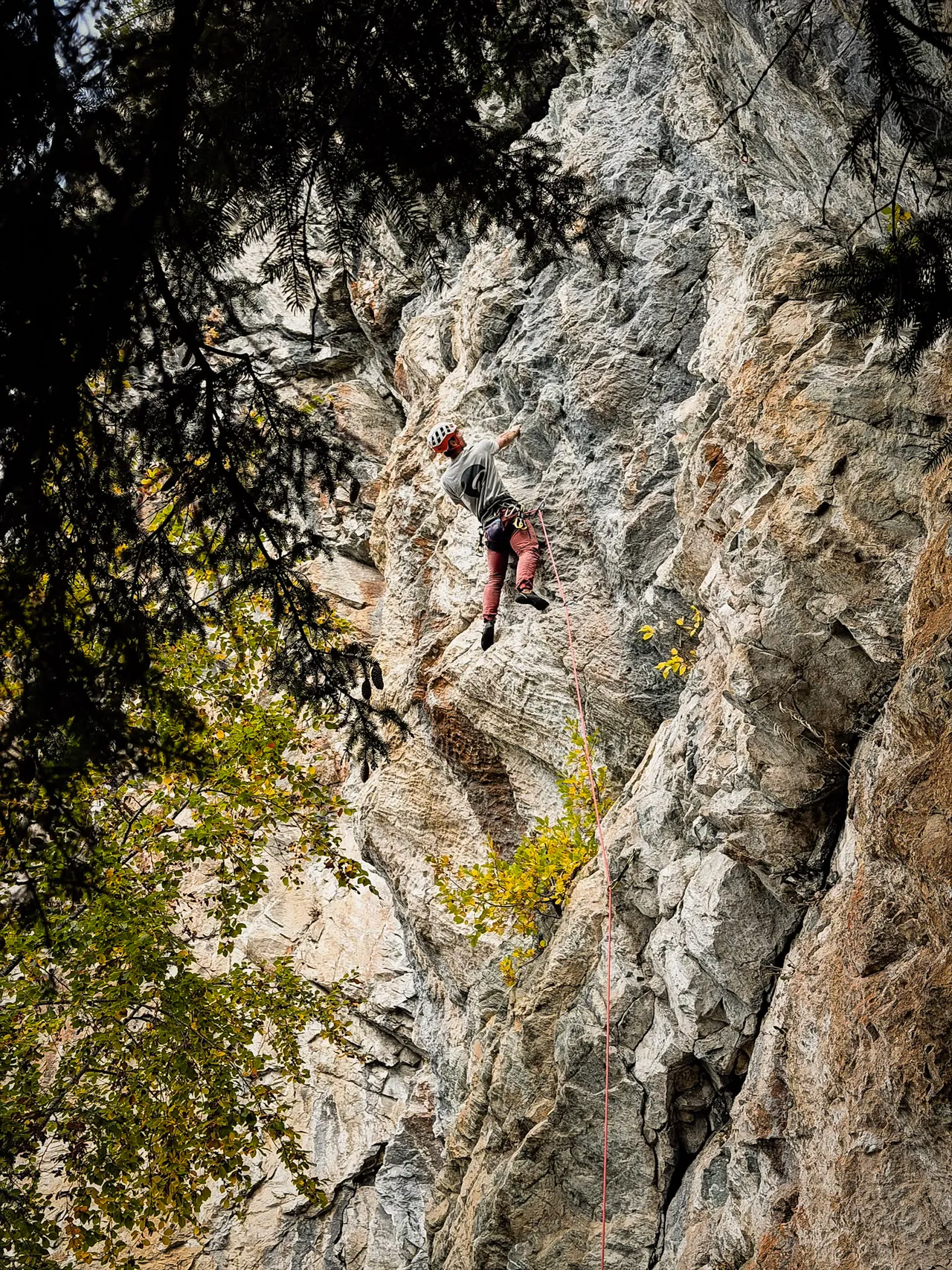 A climber on a pale rock wall, framed by trees and autumn leaves.