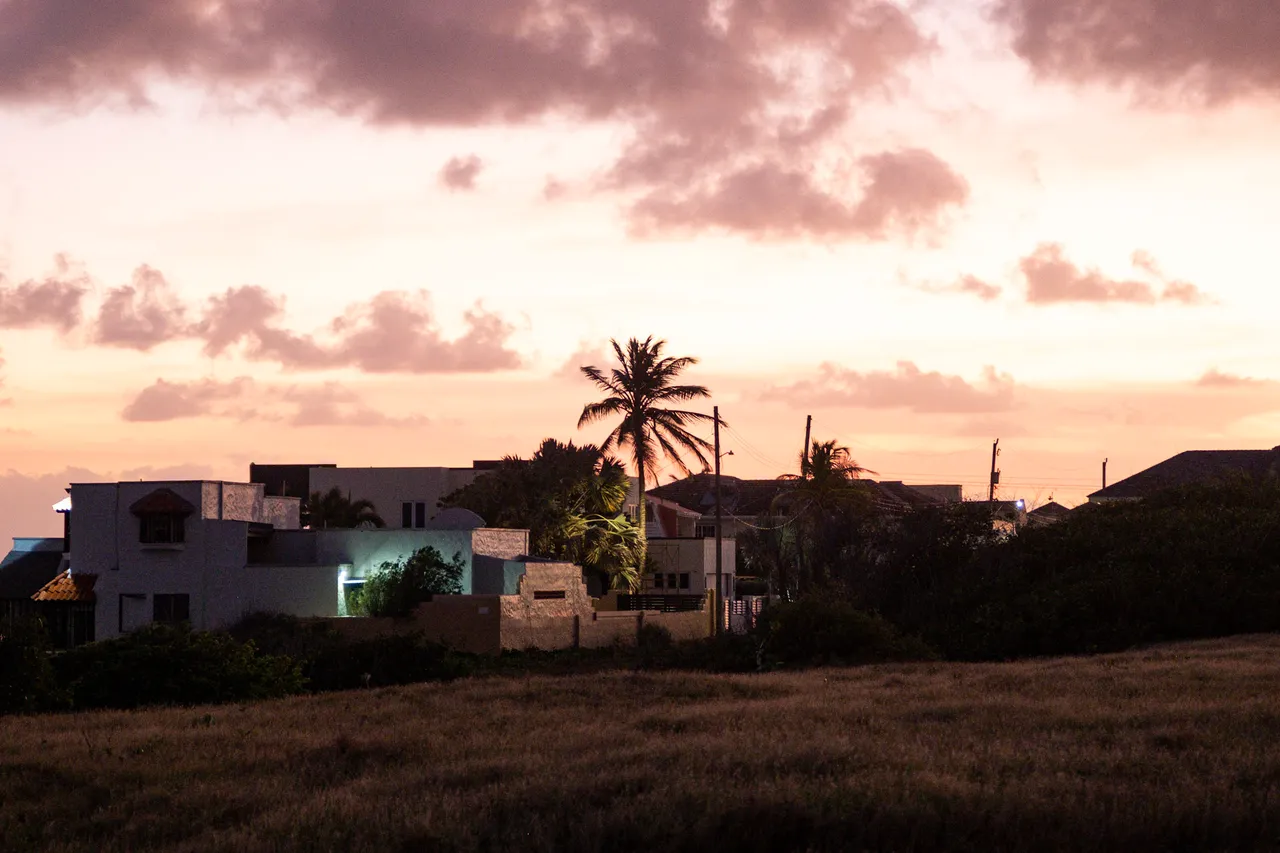 Pink and orange clouds at dusk over houses and a palm tree beside a dry field.
