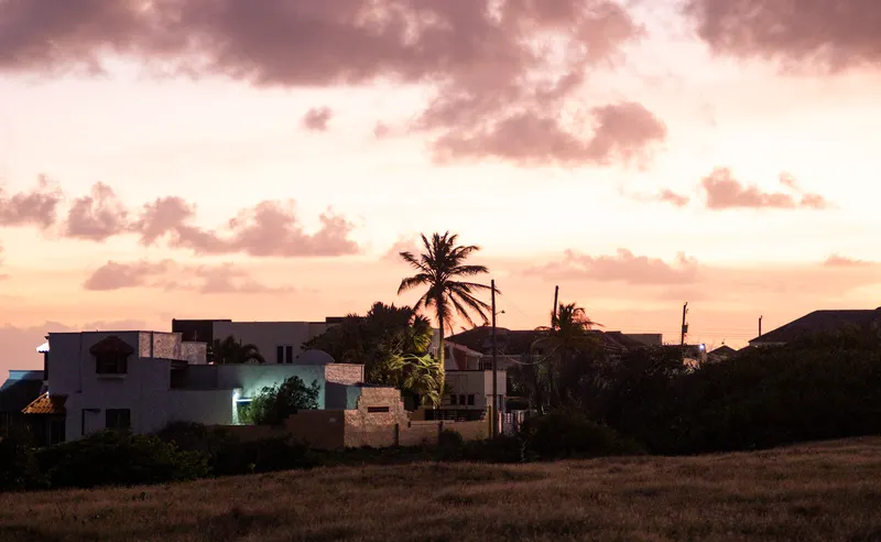 Pink and orange clouds at dusk over houses and a palm tree beside a dry field.