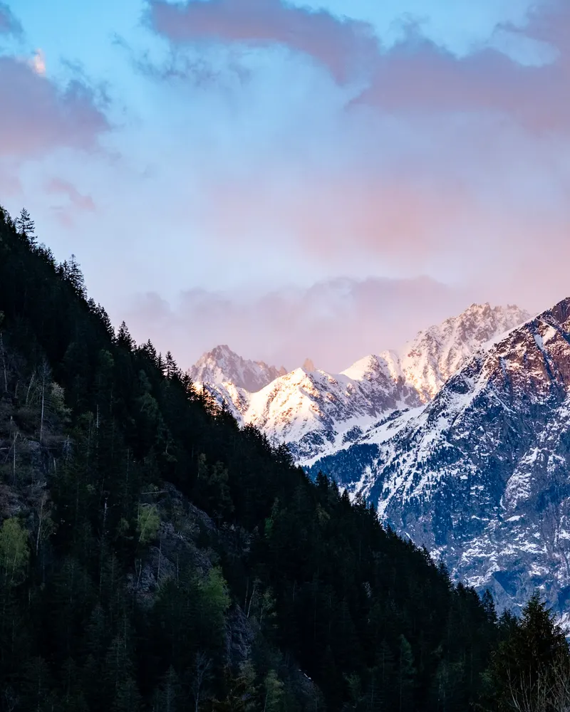 Pink clouds over distant snowy peaks, above a dark forested hillside.