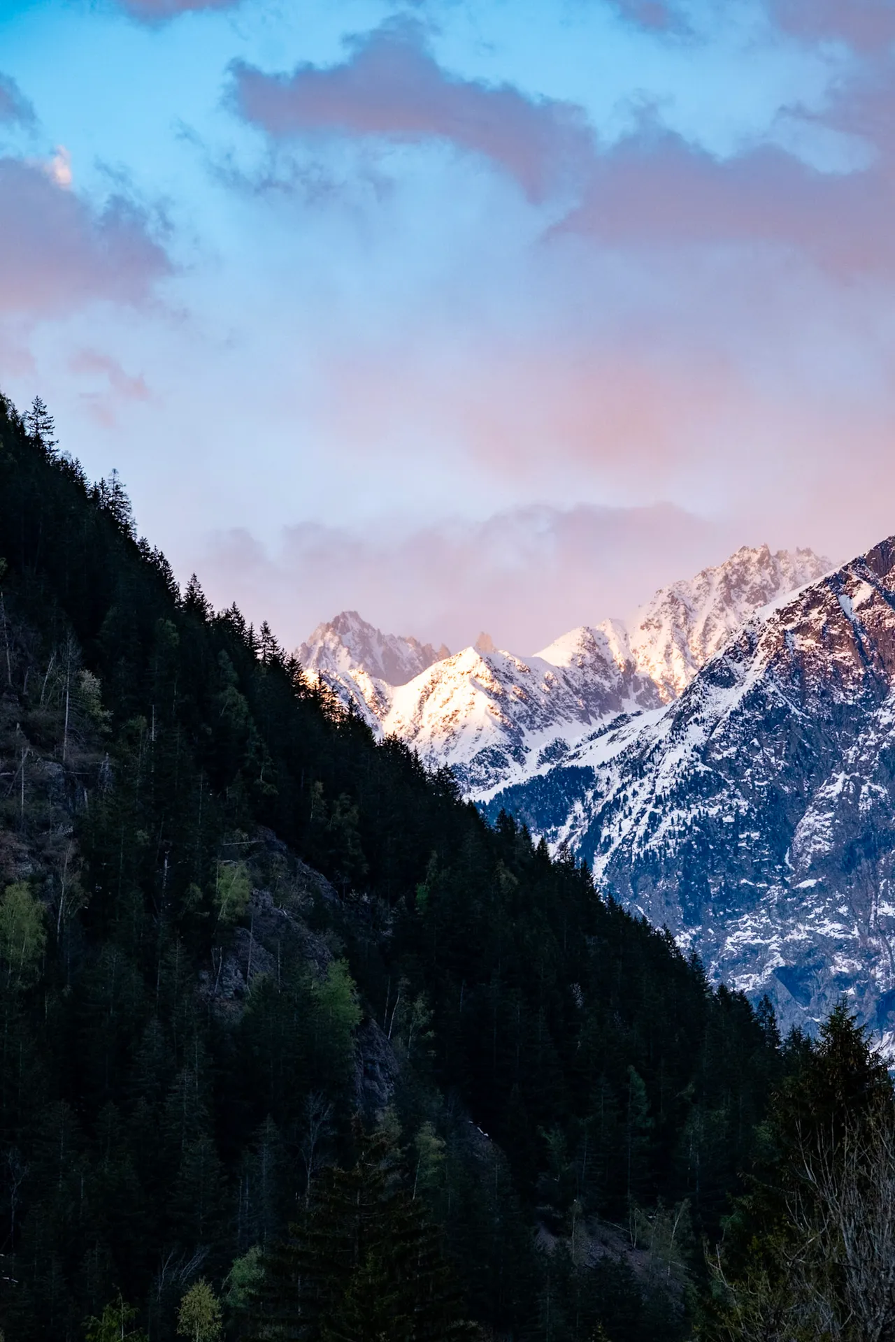 Pink clouds over distant snowy peaks, above a dark forested hillside.