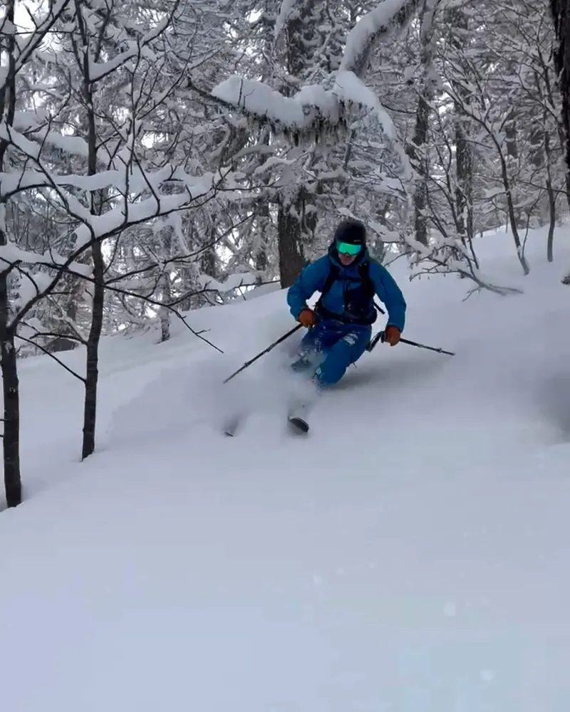 A skier in deep powder snow between snow-laden trees.