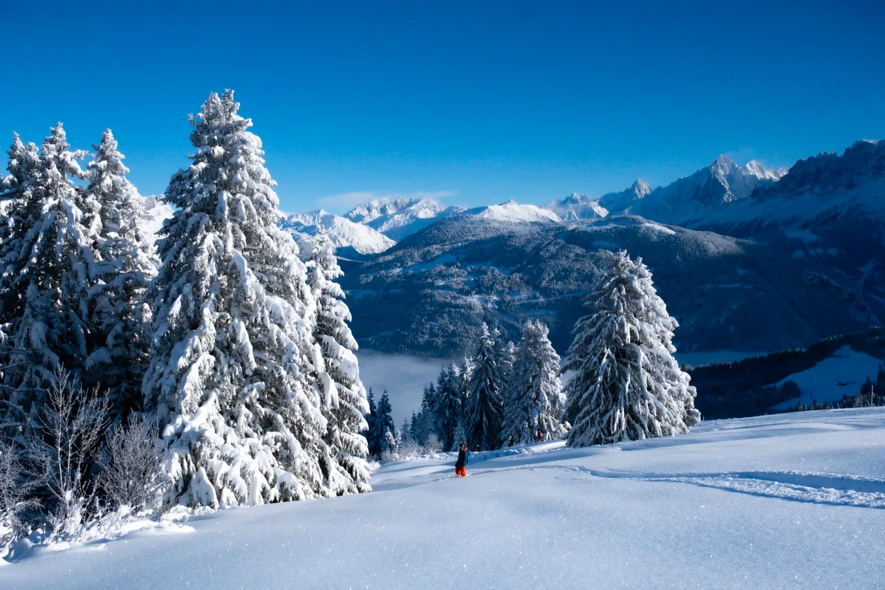 Snow-covered firs and a tiny skier far below, with snowy mountains in the distance under a blue sky.