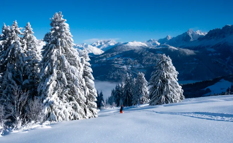 Snow-covered firs and a tiny skier far below, with snowy mountains in the distance under a blue sky.