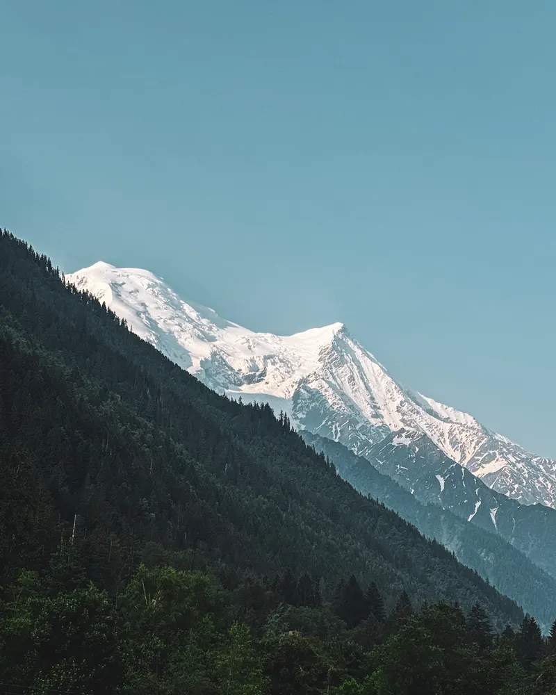 A snow-covered peak above a forested valley under a clear sky.