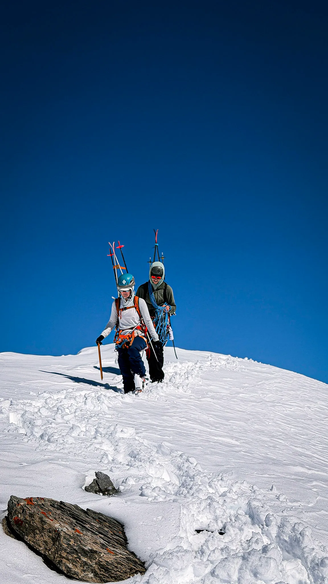 Two people with skis on their packs, climbing a snowy slope under a deep blue sky.